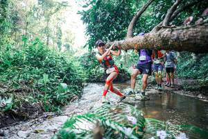 BIB: 
                            <button type="button" onclick="openModal(25451417)" class="btn btn-primary btn-sm float-right btn-popup" data-toggle="modal" data-target=".modal-high-quality">
                        <i class="fas fa-shopping-cart"></i> Add to Cart
                    </button>
                                            <button type="button" onclick="isThisMe(25451417, true)" class="btn btn-success btn-sm float-right btn-popup btn-isme hidden" data-toggle="tooltip" data-placement="bottom" title="นี่คือรูปของคุณใช่ไหม คลิกที่นี่เพื่อเอาเข้าอัลบั้ม">
                        <i class="fas fa-plus"></i> Add to album
                    </button>
                    <button type="button" onclick="isThisMe(25451417, false)" class="btn btn-warning btn-sm float-right btn-popup btn-isnotme hidden">
                        <i class="fas fa-ban"></i> Remove from album
                    </button>